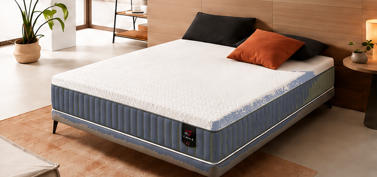 CONFORT